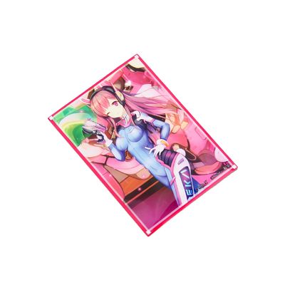 66x91 Trading Sports Card Sleeves Printed Color Gift PP TCG Hard Card Protectors