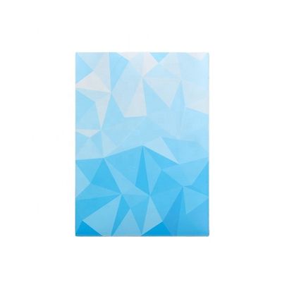Percetakan Grafis Sleeve Kartu Khusus 66x91 66x92 Untuk Perlindungan Bebas Asam Bebas PVC