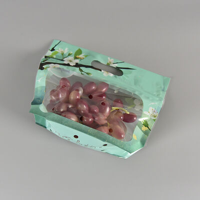 Desain Custom Food Grade Plastik anti kabut kantong transparan Sayuran segar Buah penyimpanan bungkus tas dengan pegangan ritsleting